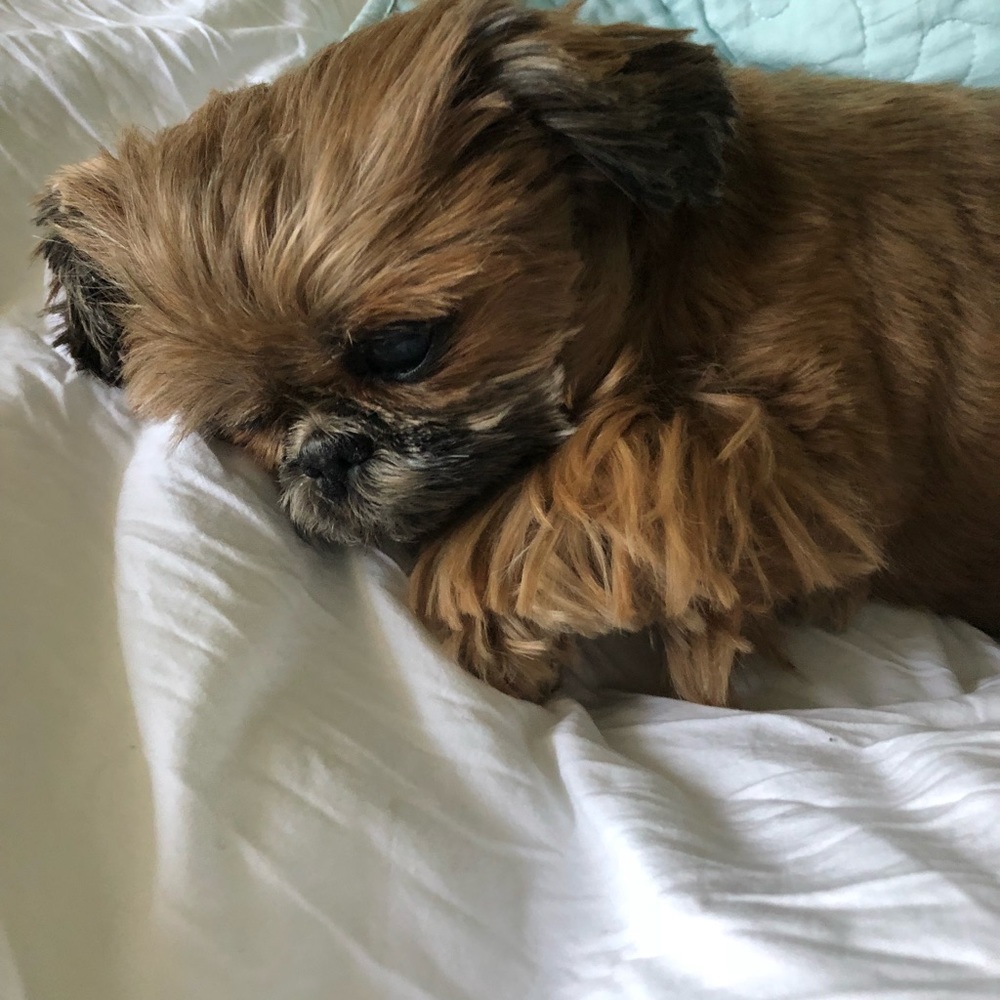 💋♥️MANY ITEMS BOGO!!♥️💋